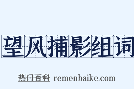 望风捕影组词是什么意思的图片